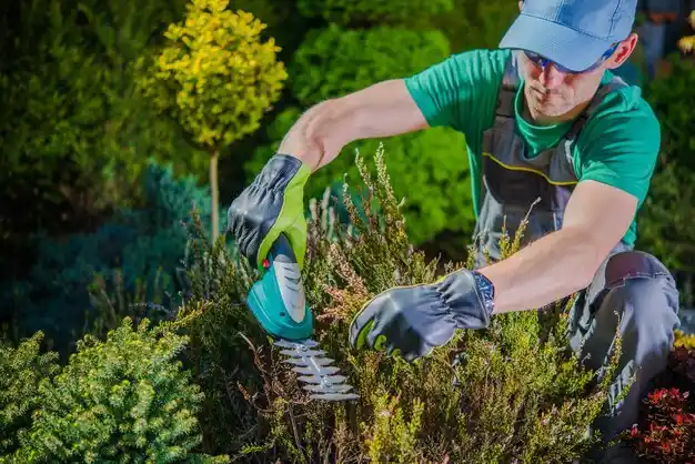 landscaping services Port Clinton